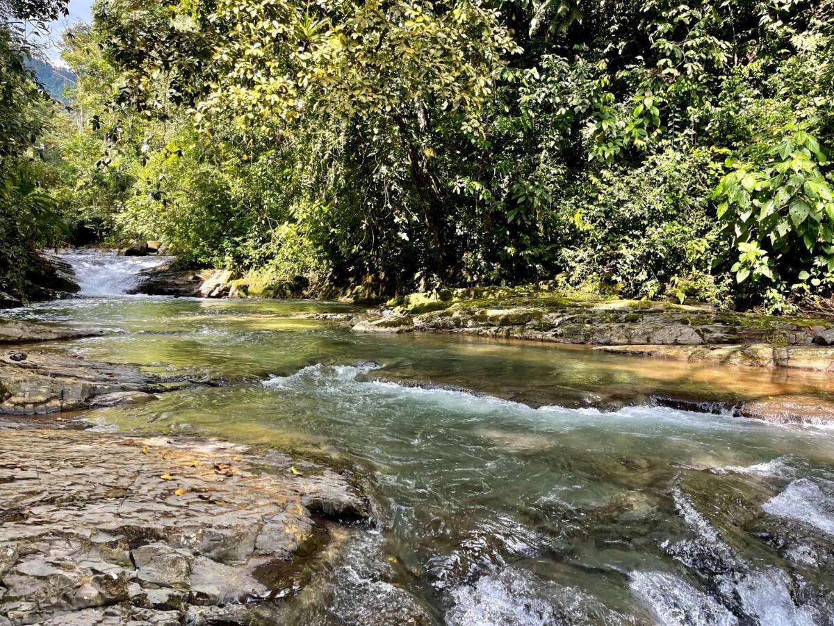 Suenos Tranquilo Bed & Breakfast Ballena Luaran gambar