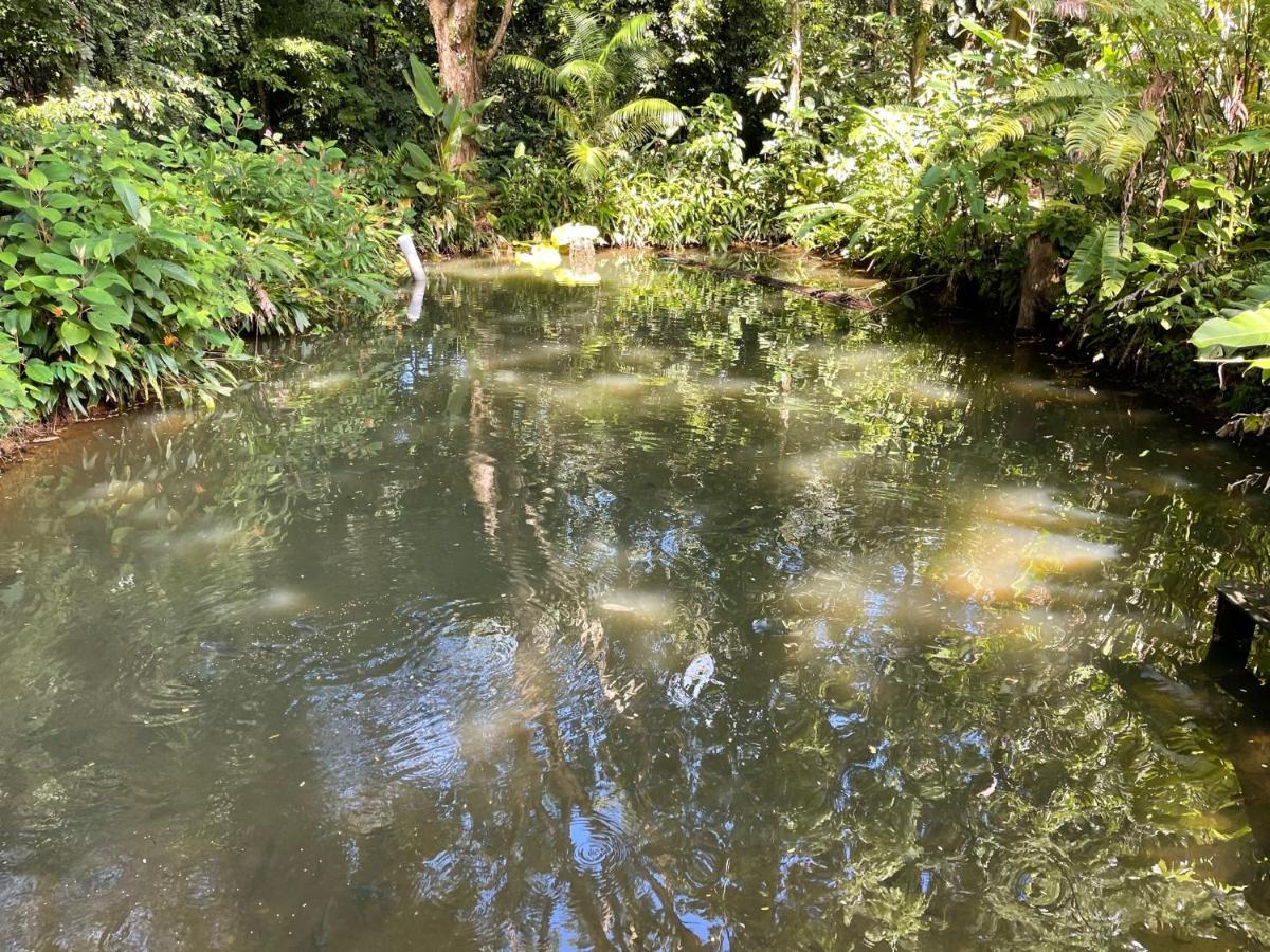 Suenos Tranquilo Bed & Breakfast Ballena Luaran gambar