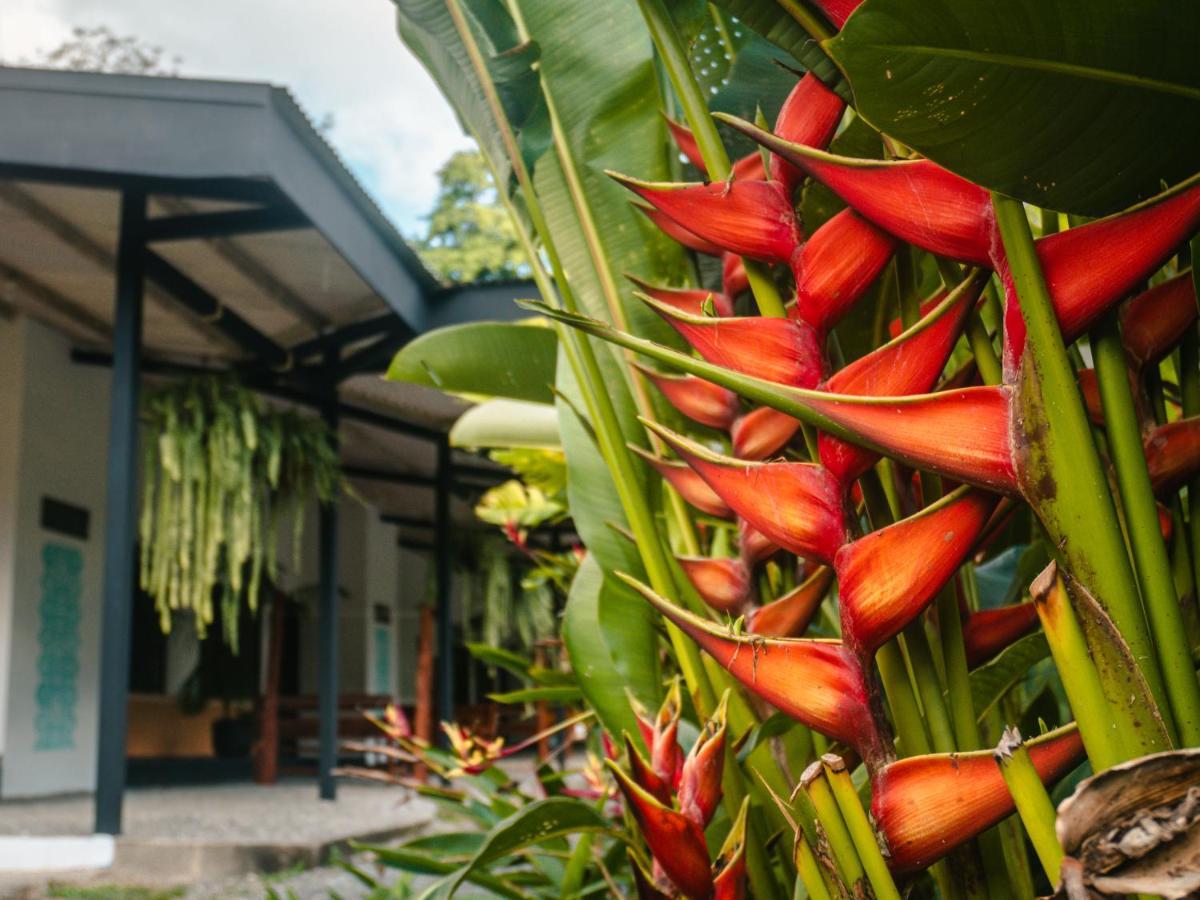 Suenos Tranquilo Bed & Breakfast Ballena Luaran gambar